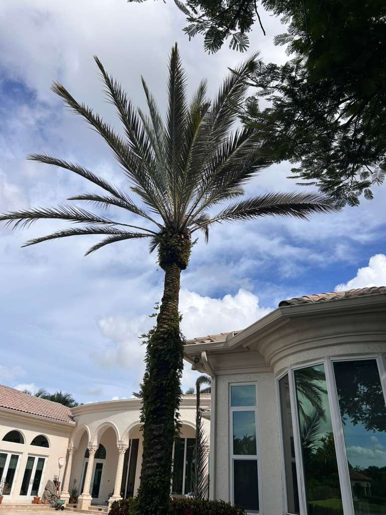 M Kairos Lawn Services Inc (48)