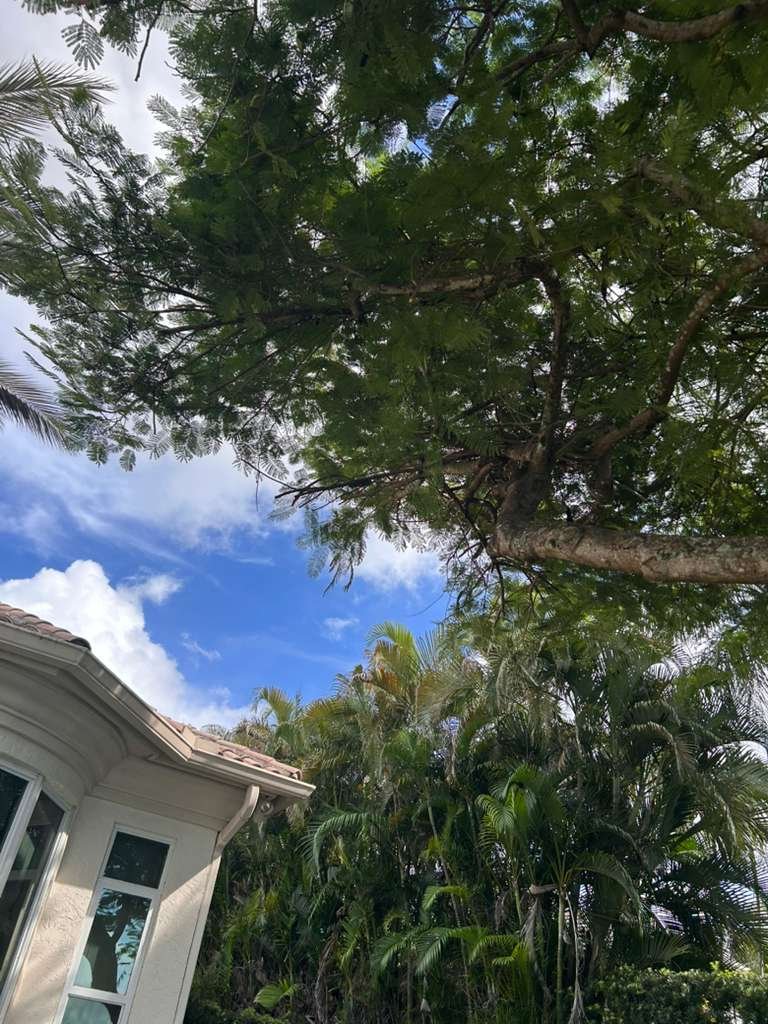 M Kairos Lawn Services Inc (50)